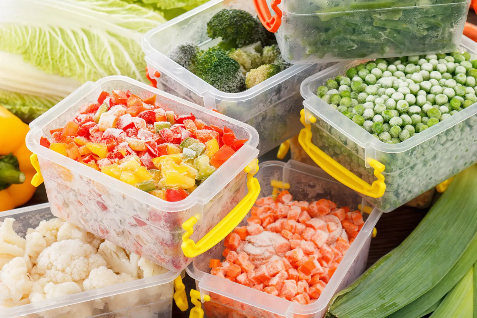 Plastic food containers